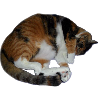 click for a surprise!